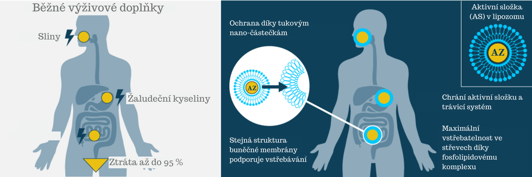 kolagendrink CZ liposomal 3